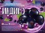 Жевательная резинка 27 мм "Индиго"